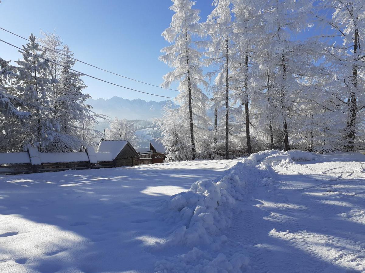 Pod Modrzewiem Bukowina Tatrzańska Esterno foto